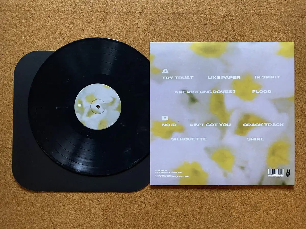 Popstrangers - In Spirit (Vinyl)