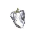 Ween - White Pepper