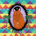 WAVVES ‘KING OF THE BEACH' LP