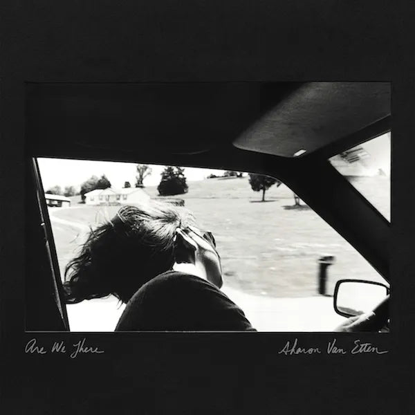 Sharon Van Etten - Are We There (Vinyl)