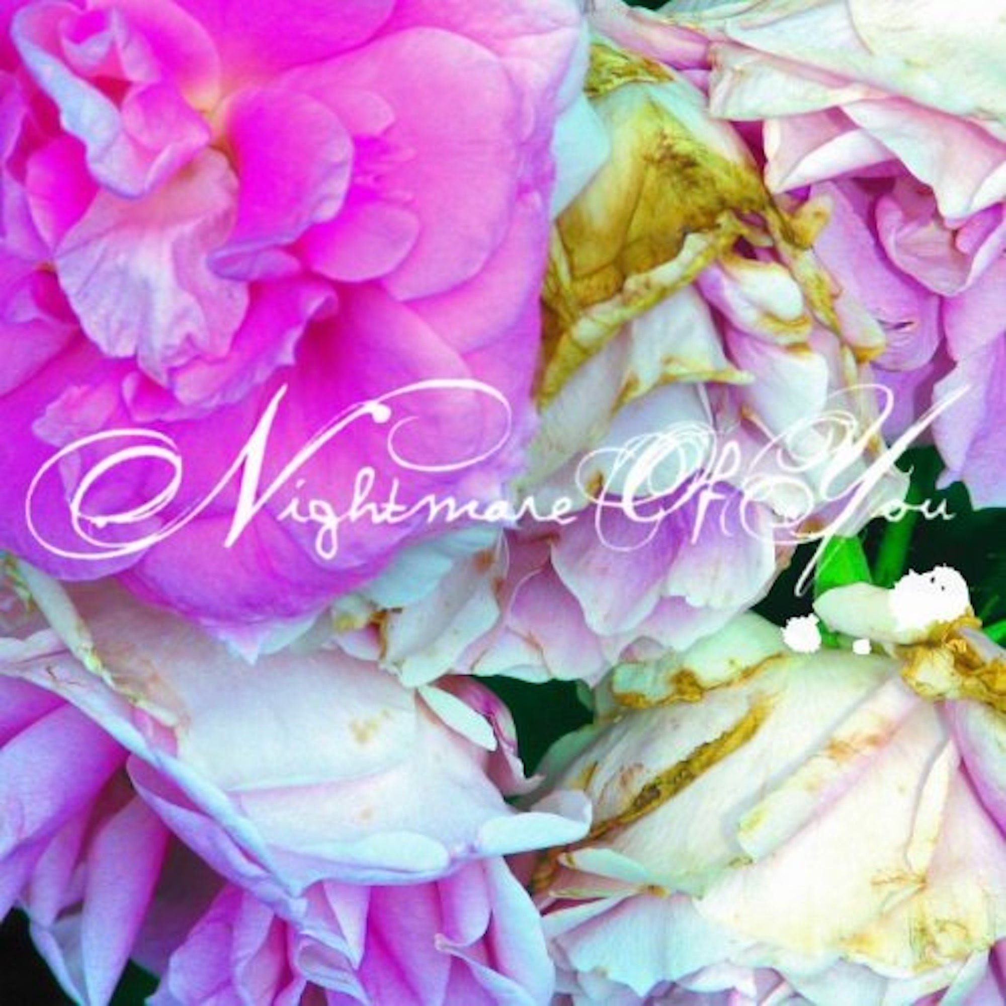 NIGHTMARE OF YOU ‘NIGHTMARE OF YOU’