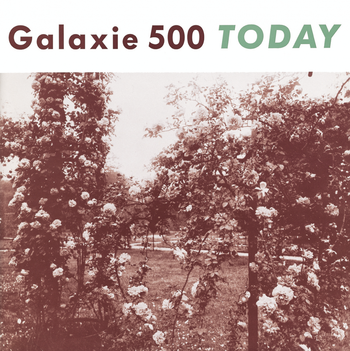 Galaxie 500 – Today (Vinyl)