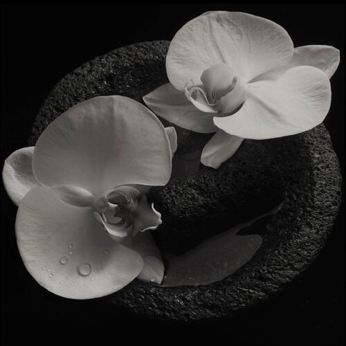 MIKE PATTON 'CORPSE FLOWER' LP