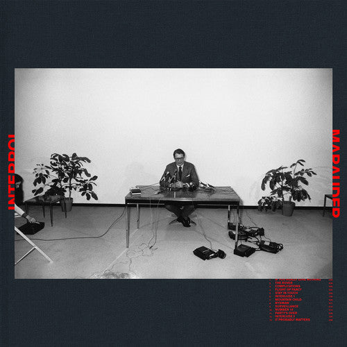INTERPOL 'MARAUDER' LP