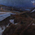 THE MOUNTAIN GOATS 'DARK IN HERE' 2LP