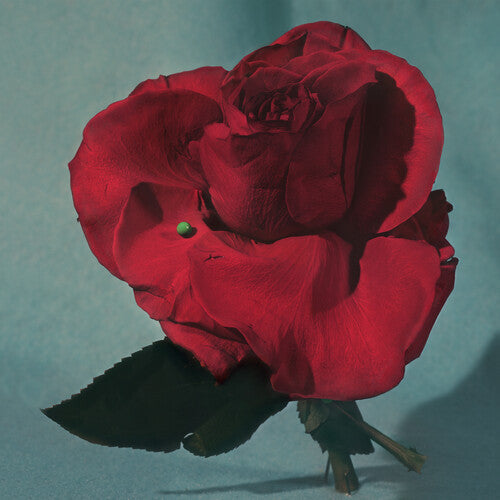 METZ 'UP ON GRAVITY HILL' LP (Color Vinyl)