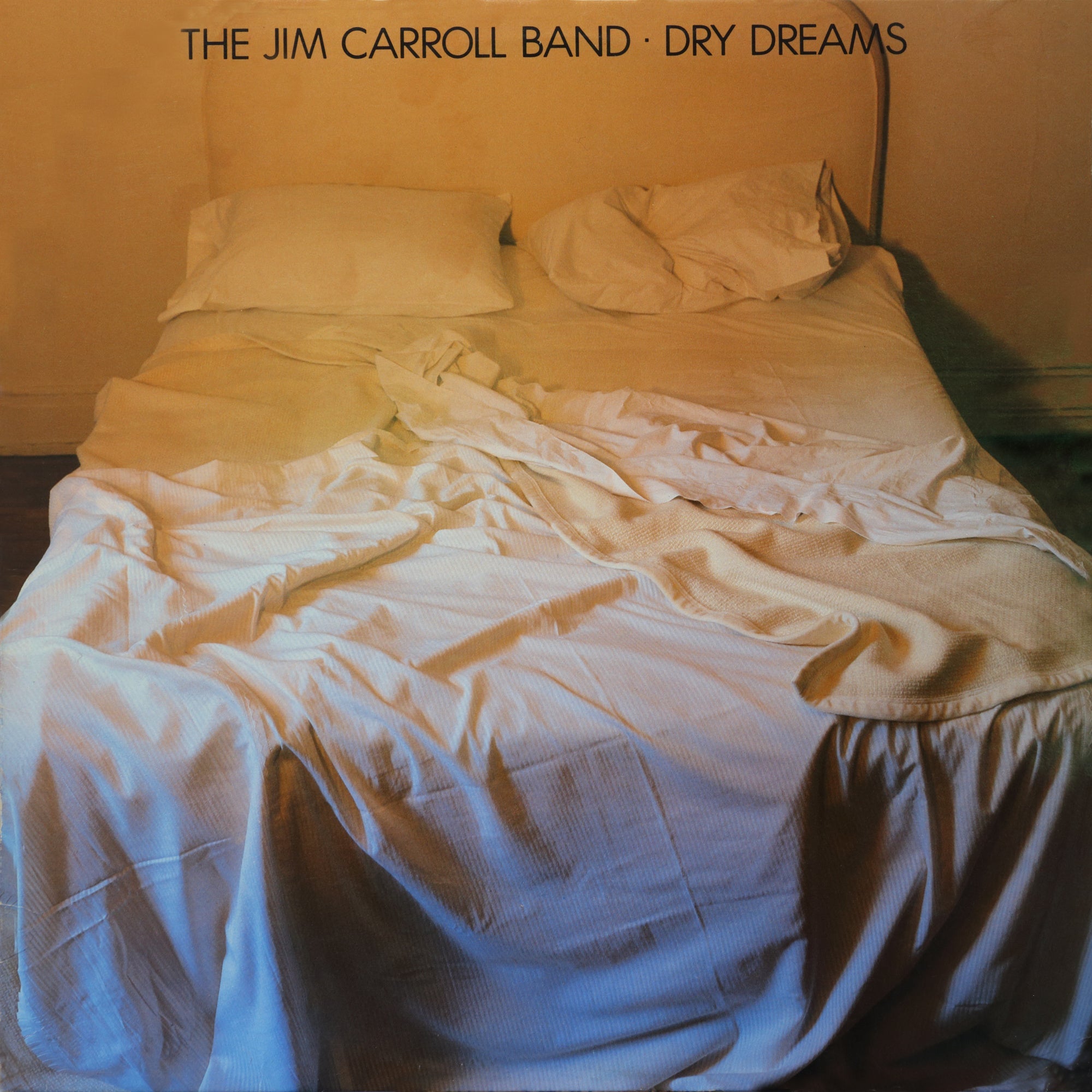 THE JIM CARROLL BAND 'DRY DREAMS' LP