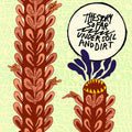 THE STORY SO FAR ‘UNDER SOIL AND DIRT’ LP (Yellow w/Rainbow Splatter Vinyl)