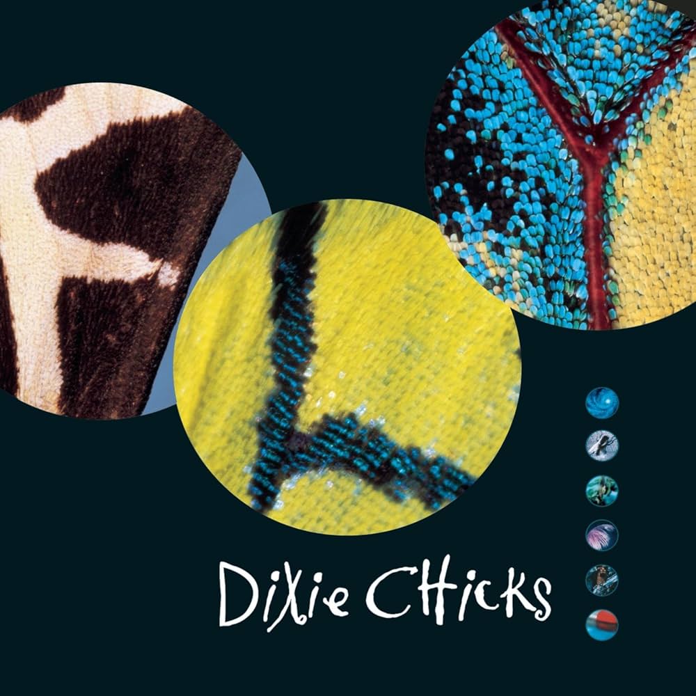 Chicks - Fly