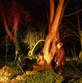 Echo And The Bunnymen – Crocodiles (Vinyl)