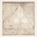 Grizzly Bear - Shields B - Sides