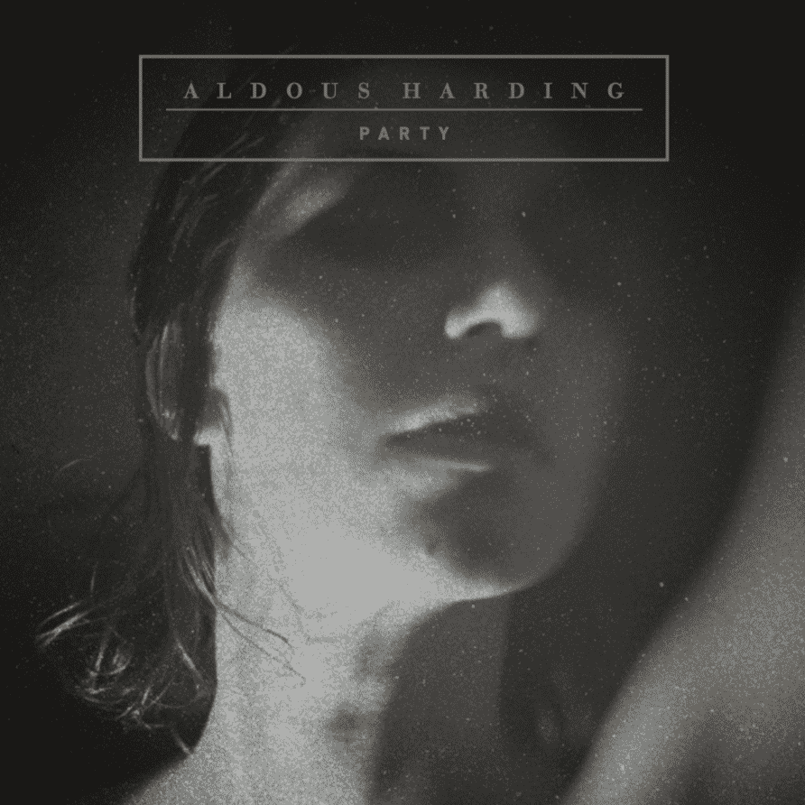 Aldous Harding - Party (Vinyl)