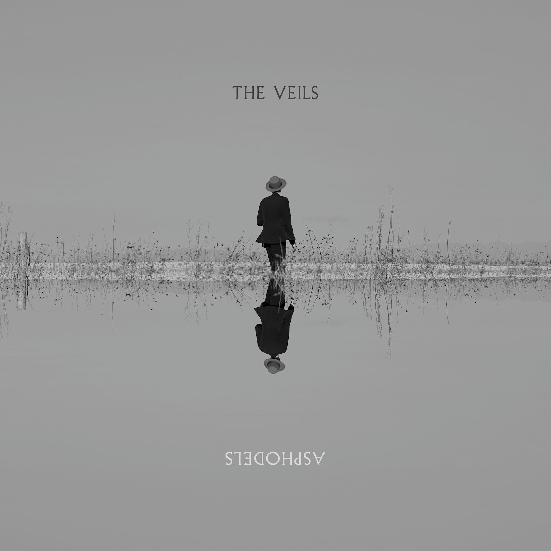 The Veils - Asphodels (Vinyl)