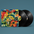 Adrianne Lenker – Songs And Instrumentals (Vinyl)
