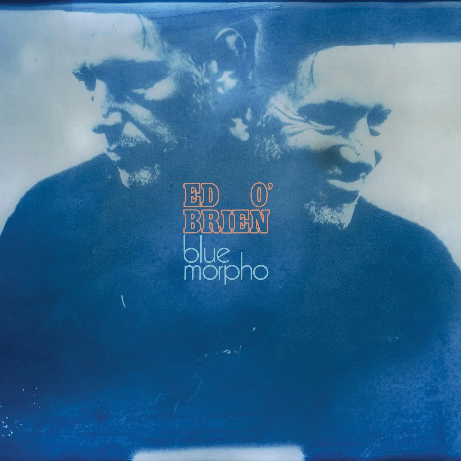 O'Brien, Ed - Blue Morpho