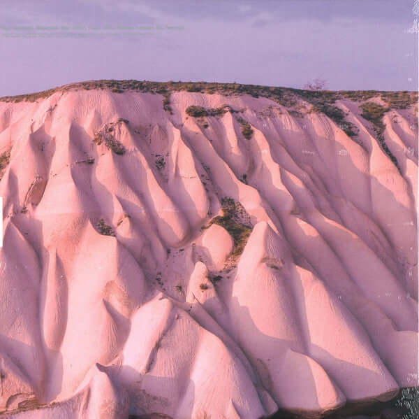 Autechre - Amber (Vinyl)