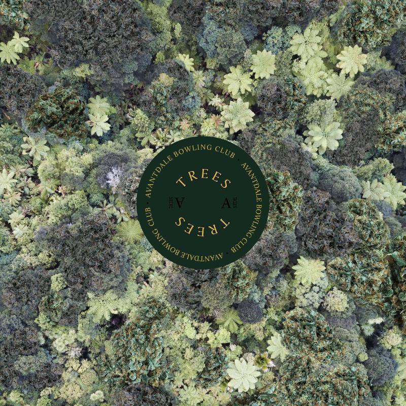 Avantdale Bowling Club - Trees (Vinyl)