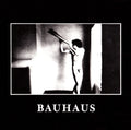 Bauhaus - In the Flat Field