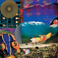 Benny Salvador - Family Fruit (Vinyl)