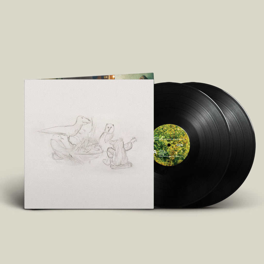 Big Thief - Dragon New Warm Mountain I Believe In You (Vinyl)