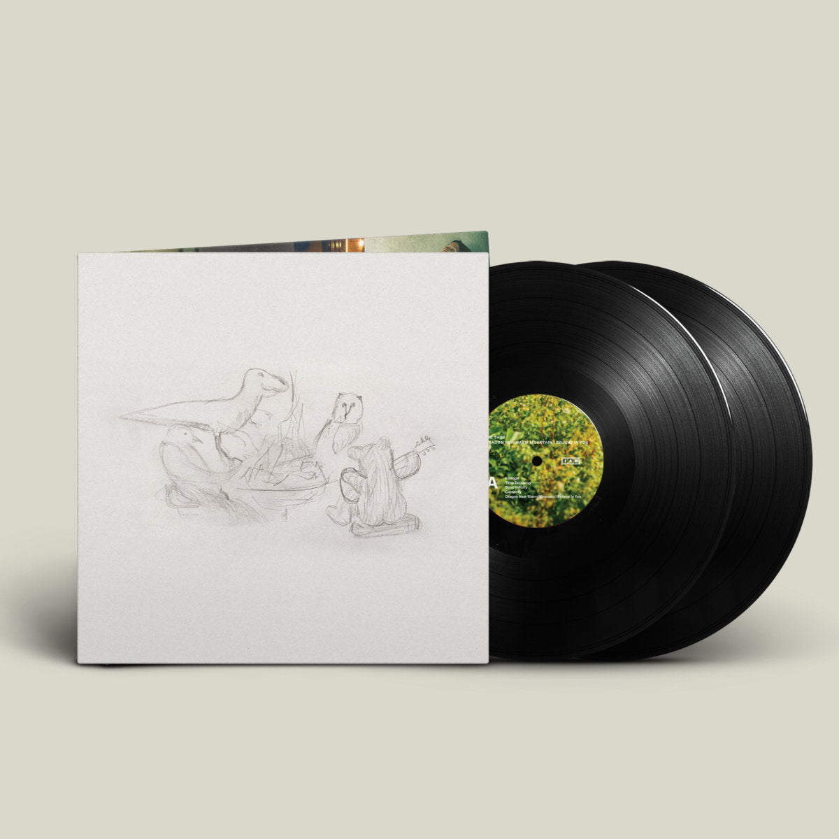 Big Thief - Dragon New Warm Mountain I Believe In You (Vinyl)