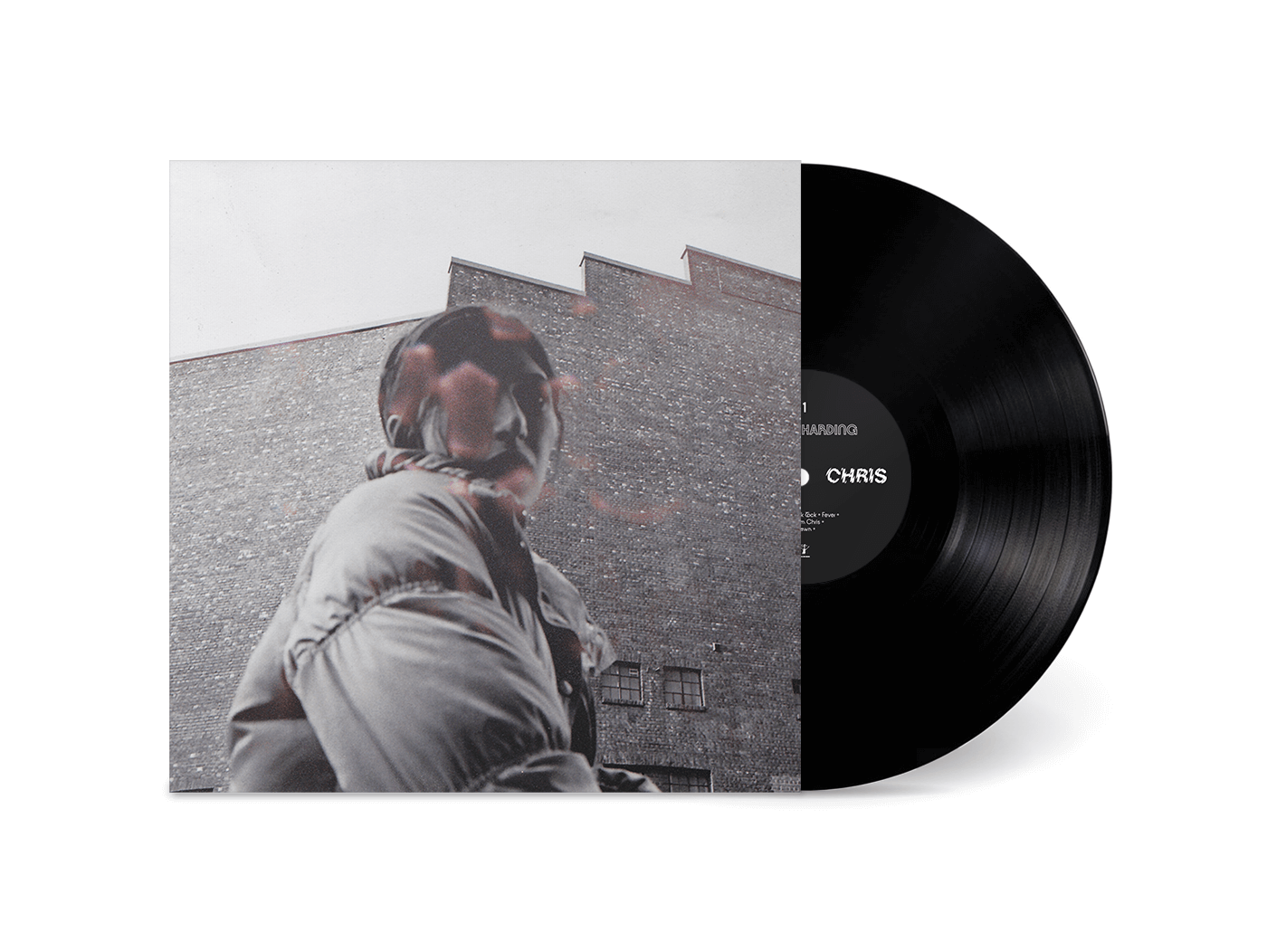 Aldous Harding - Warm Chris (Vinyl)