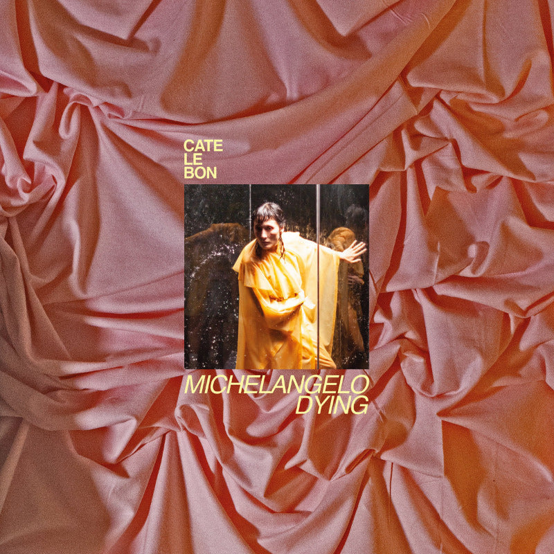Cate Le Bon - Michelangelo Dying (Vinyl)