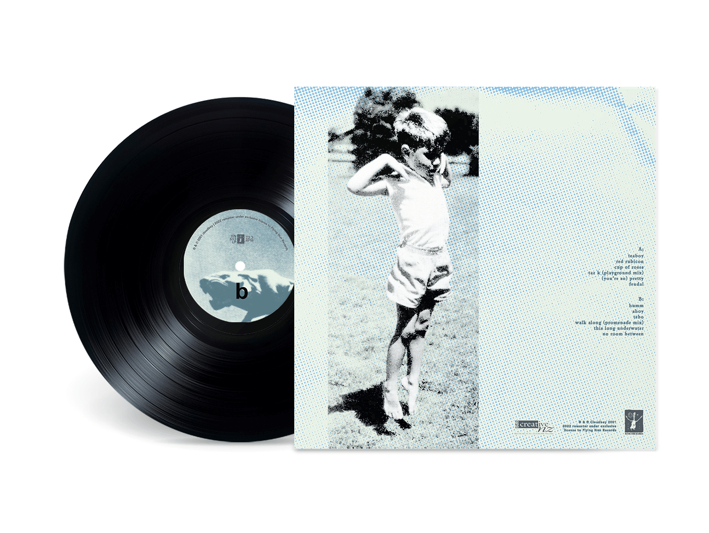 Cloudboy - Down at the End of the Garden (Vinyl)