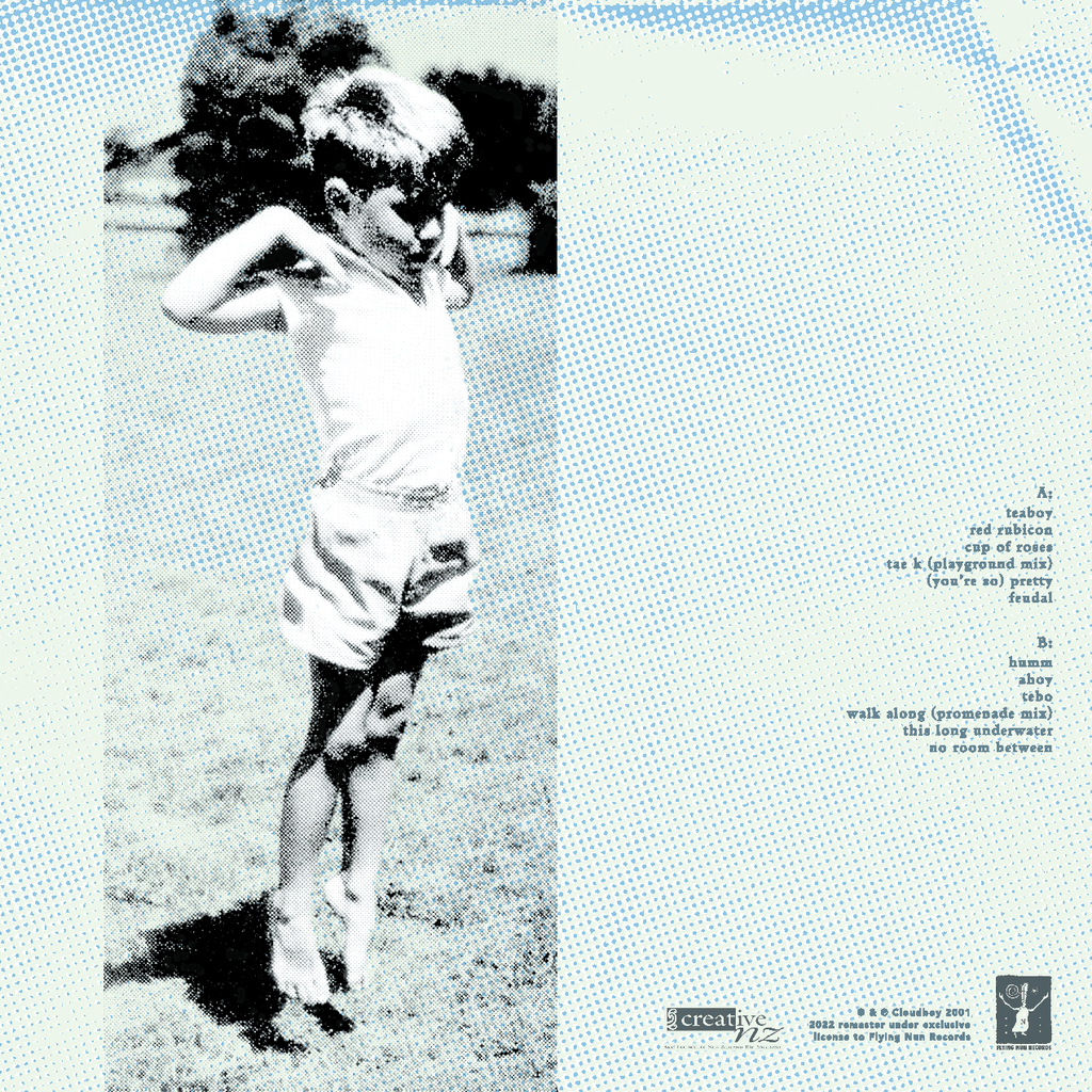 Cloudboy - Down at the End of the Garden (Vinyl)