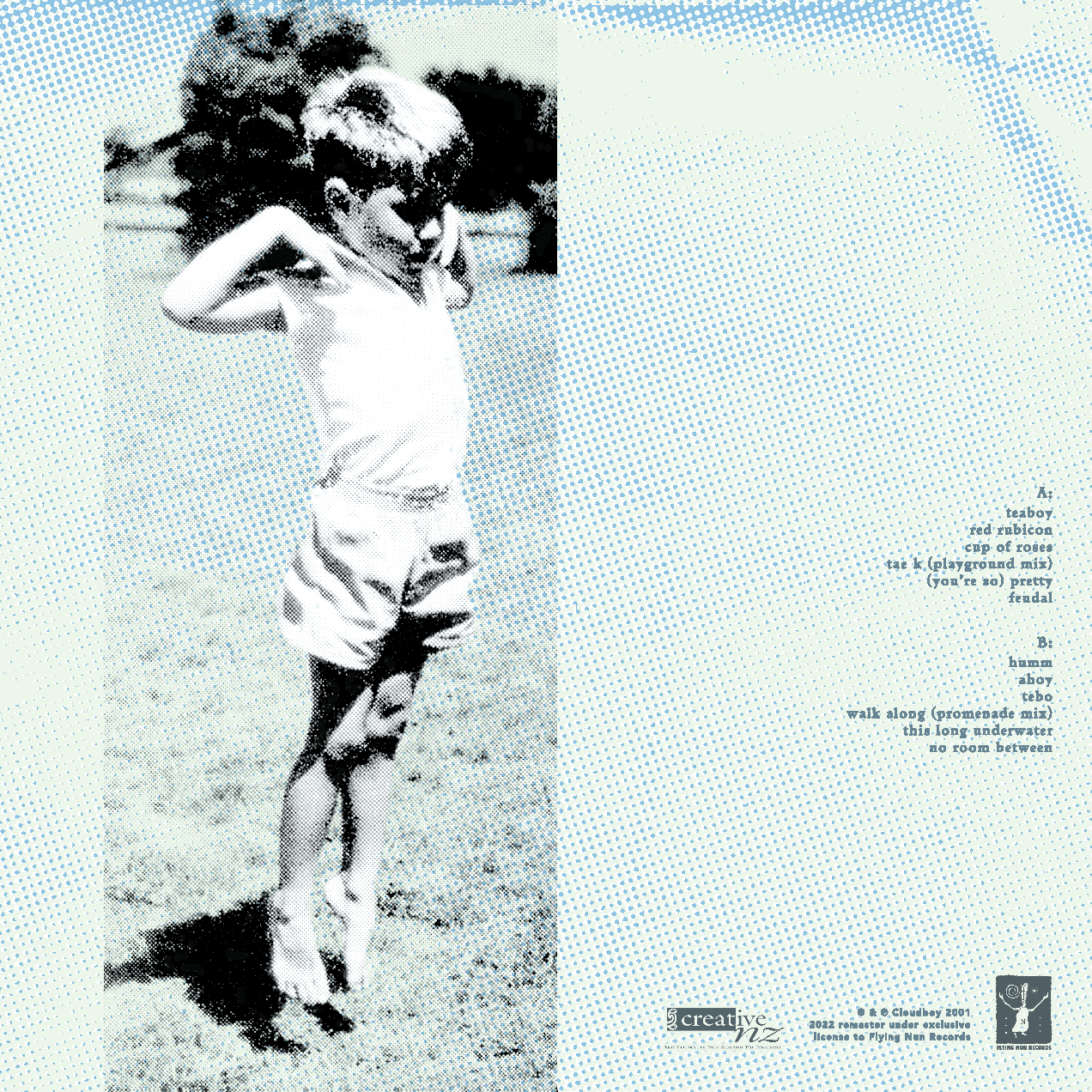 Cloudboy - Down at the End of the Garden (Vinyl)