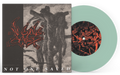 NO SOULS SAVED ‘NO ONE SAVED’ 7" (Limited Edition – Only 100 made, Coke Bottle Clear 7" Vinyl)