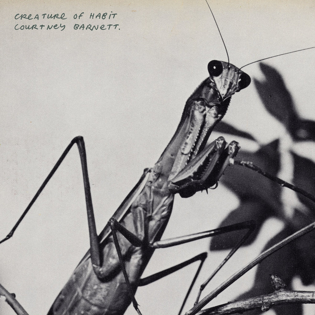 Courtney Barnett - Creature Of Habit (Vinyl)