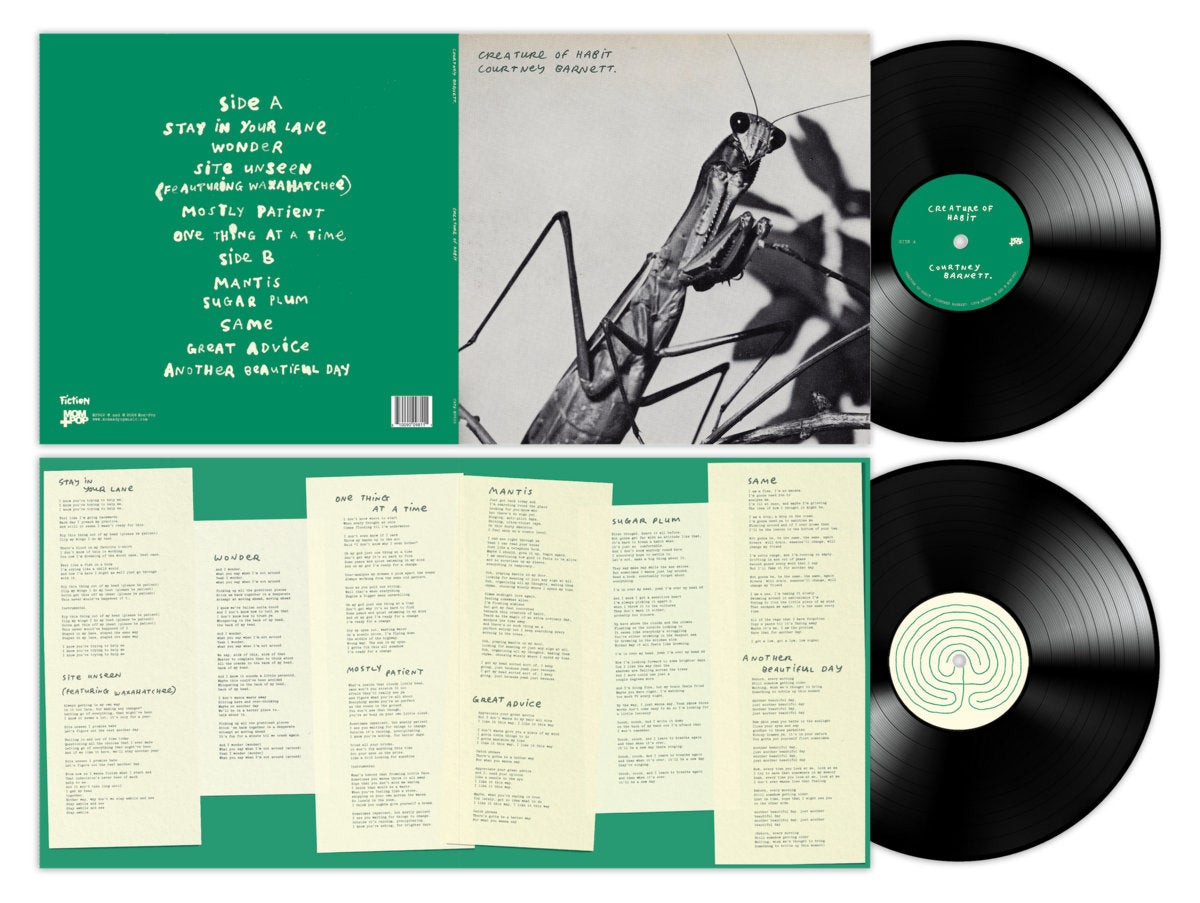 Courtney Barnett - Creature Of Habit (Vinyl)