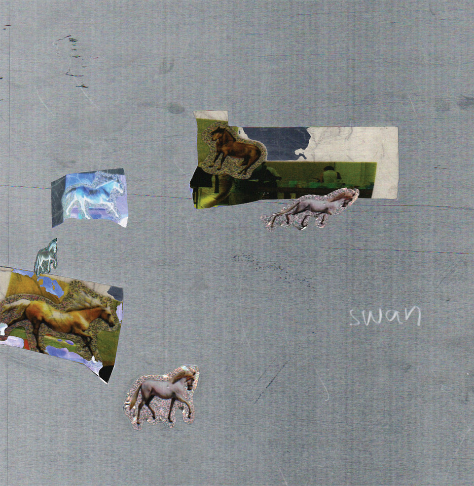 Fazed on a Pony - swan (Vinyl)