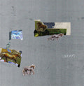 Fazed on a Pony - swan (Vinyl)