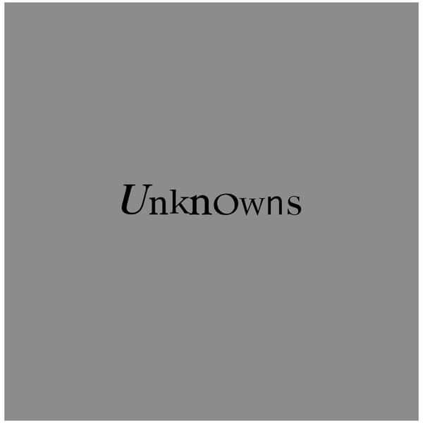 The Dead C - Unknowns (Vinyl)