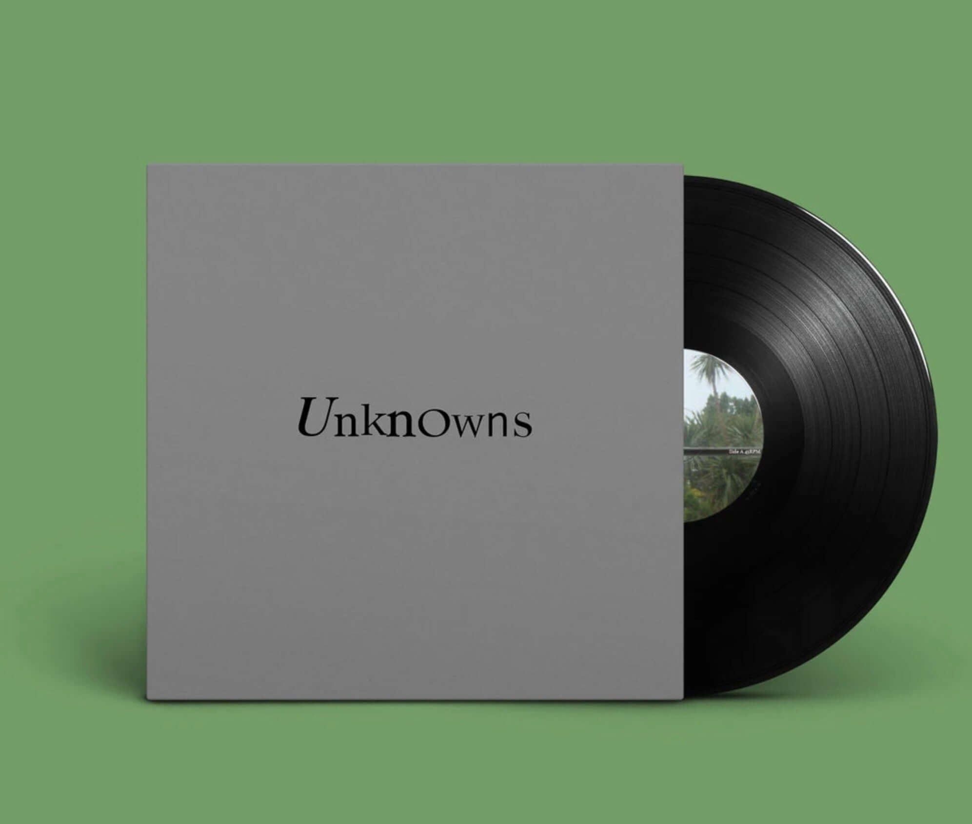 The Dead C - Unknowns (Vinyl)