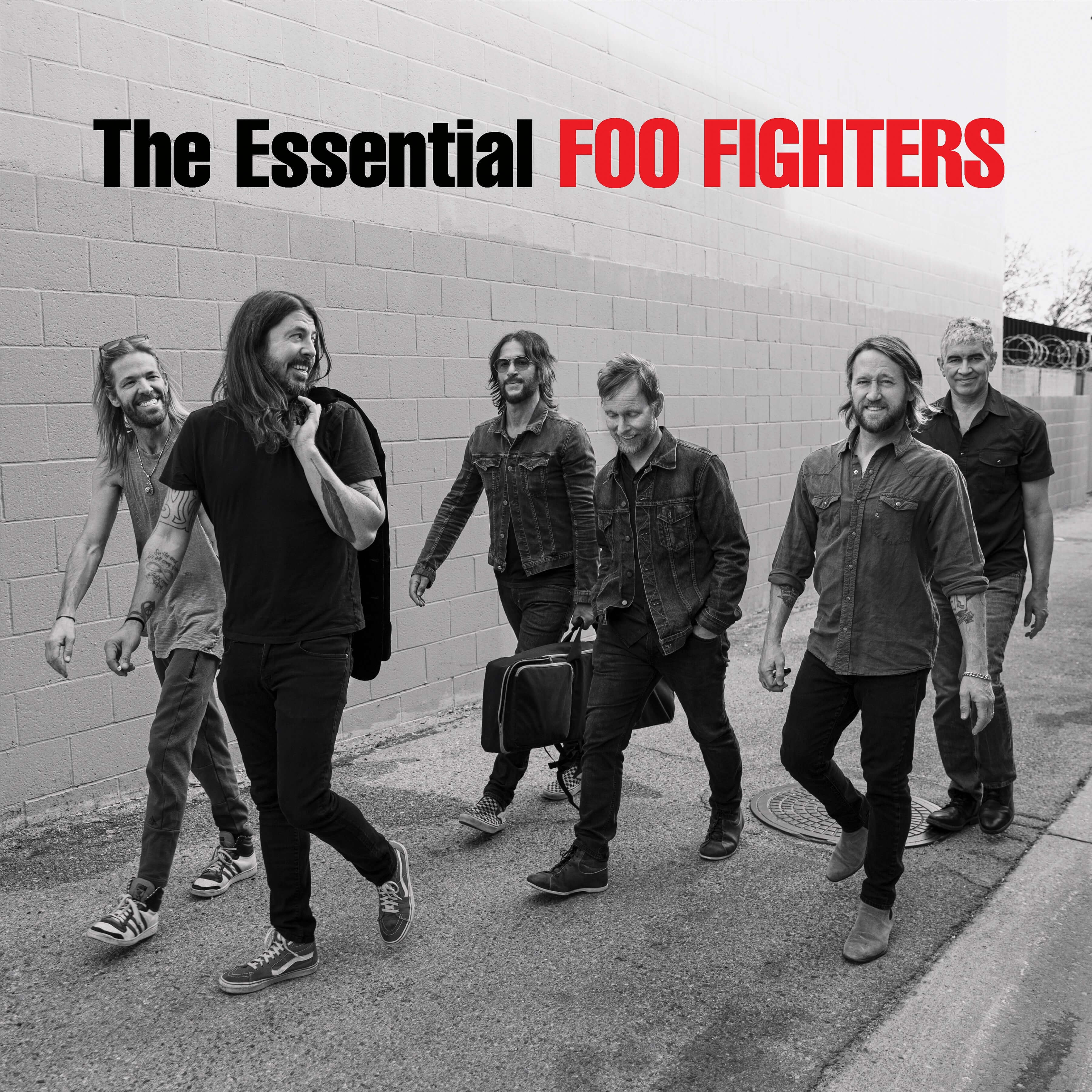 Foo Fighters - The Essential Foo Fighters (Vinyl)