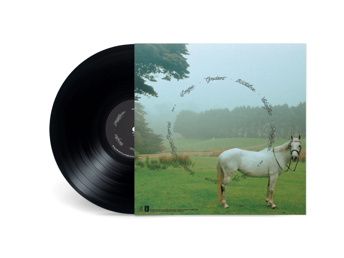 Recitals - Orbit I (Vinyl)