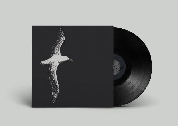 Hail, Meteor! - Nearer (Vinyl)