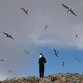 Hamerkop - Remote (Vinyl)