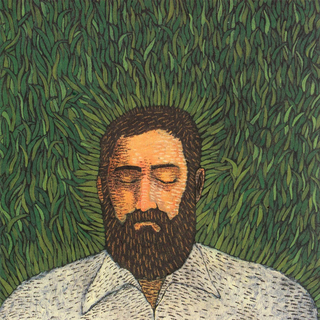 IRON & WINE 'OUR ENDLESS NUMBERED DAYS' LP