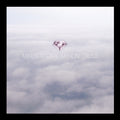MINUS STORY 'MY ION TRUSS' LP