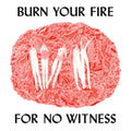 Olsen, Angel - Burn Your Fire For No Witness