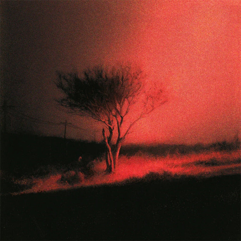 Joji - Piss in the Wind (Vinyl)