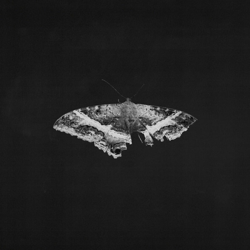 Kendrick Lamar - To Pimp A Butterfly (10th Ann. Edition) (Vinyl)