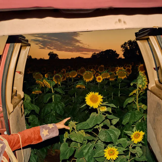 Morby, Kevin - Little Wide Open