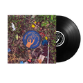 DAWES 'GOOD LUCK WITH WHATEVER' LP (Black Vinyl)