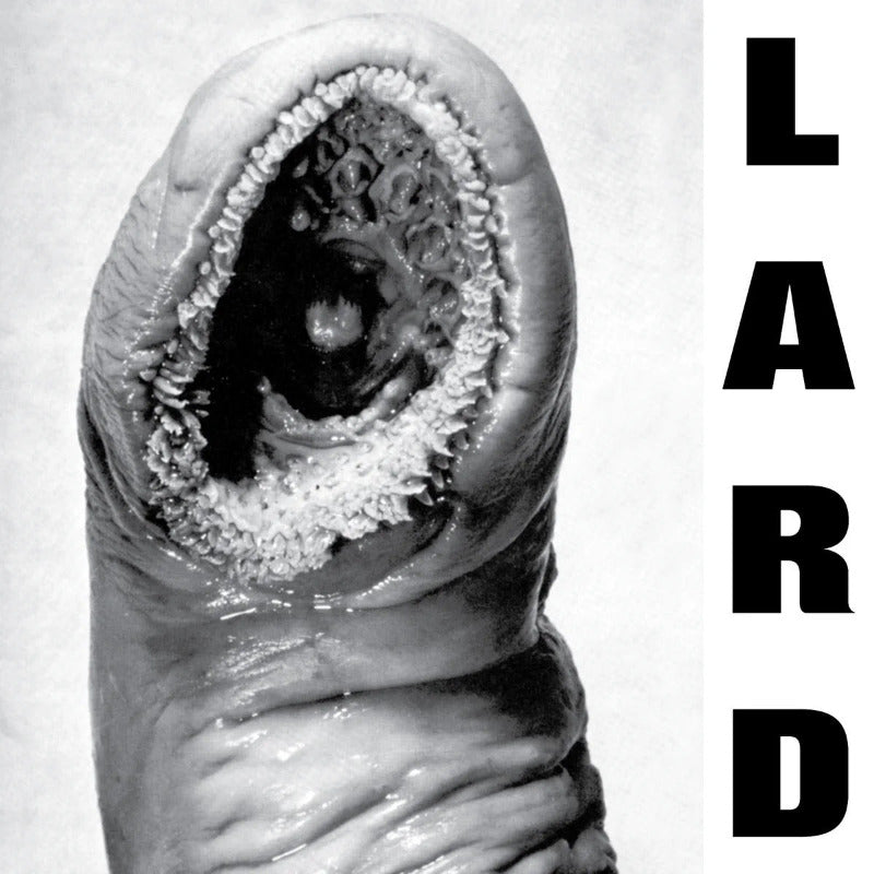 Lard - Power of Lard (Vinyl)