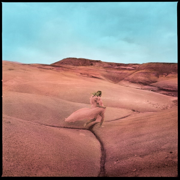Price, Margo - Strays